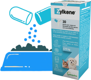Zylkene aide votre chien ou votre chat à faire face aux situations  stressantes